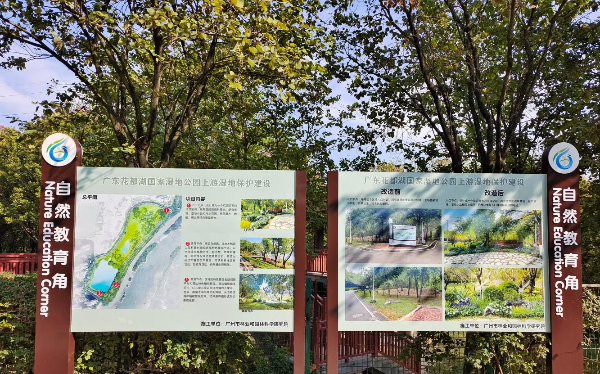 花都区推进湿地保护建设  打造小微湿地“自然教育角”.png